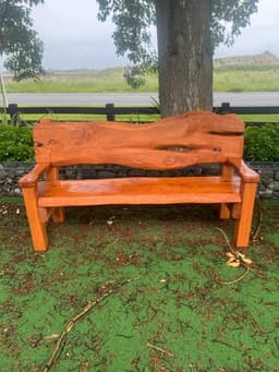 Macrocarpa Bench Seat — Rustic Slab Pews — photo 1 of 7